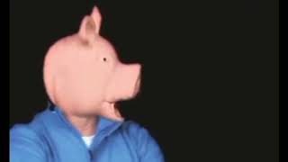 диметий гони свиней мем