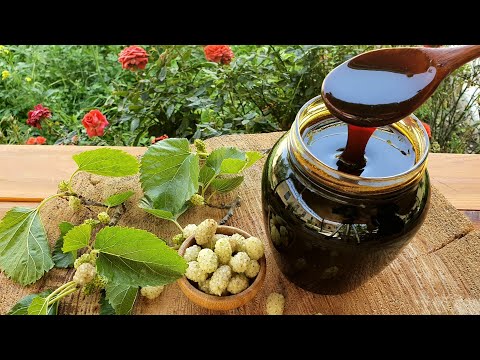 Tut Bəhməzinin Hazırlanması  | Dut Pekmezi Nasıl Yapılır  | Mulberry molasses