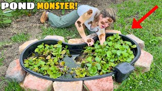 MYSTERIOUS CREATURE FOUND LIVING IN MY POND! by Hannah Feder 137,013 views 3 months ago 17 minutes