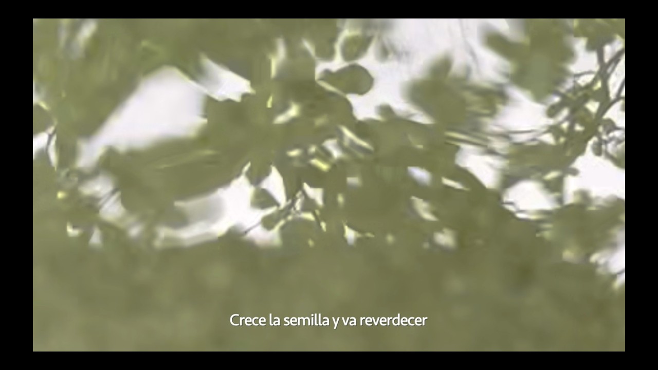 karol barboza - matorrales