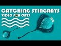 Cat games  catching stingrays fish for cats