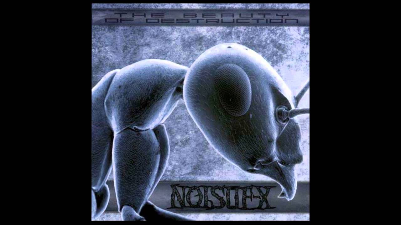 01-noisuf-x-distorted-self-perception-youtube