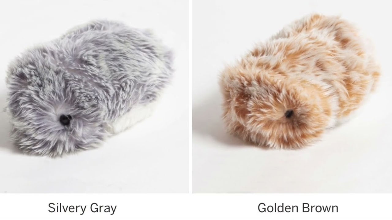 MOFLIN ROBOTIC PET An AI Pet Robot with Emotional Capabilities on Indiegogo - UPDATE MOFLIN ROBOTIC PET An AI Pet Robot with Emotional Capabilities on Indiegogo - UPDATE