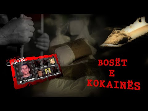 Video: Kush i projektoi musket?