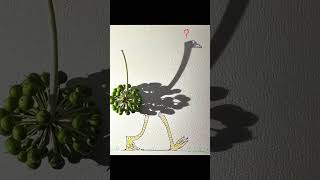 Playing with light and shadow  #creativity  #lightandshadowart