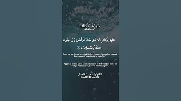 سورة الاحقاف اية 4 و 5 القارئ سعد الغامدي
