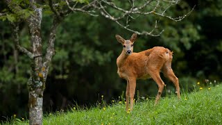 Petite promenade avec madame nature avec les images de Mathias