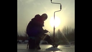 Риболовля в Україні.  Клев окуня  на озере,  рибалочку зробила одна лунка.🐟🐟🐟