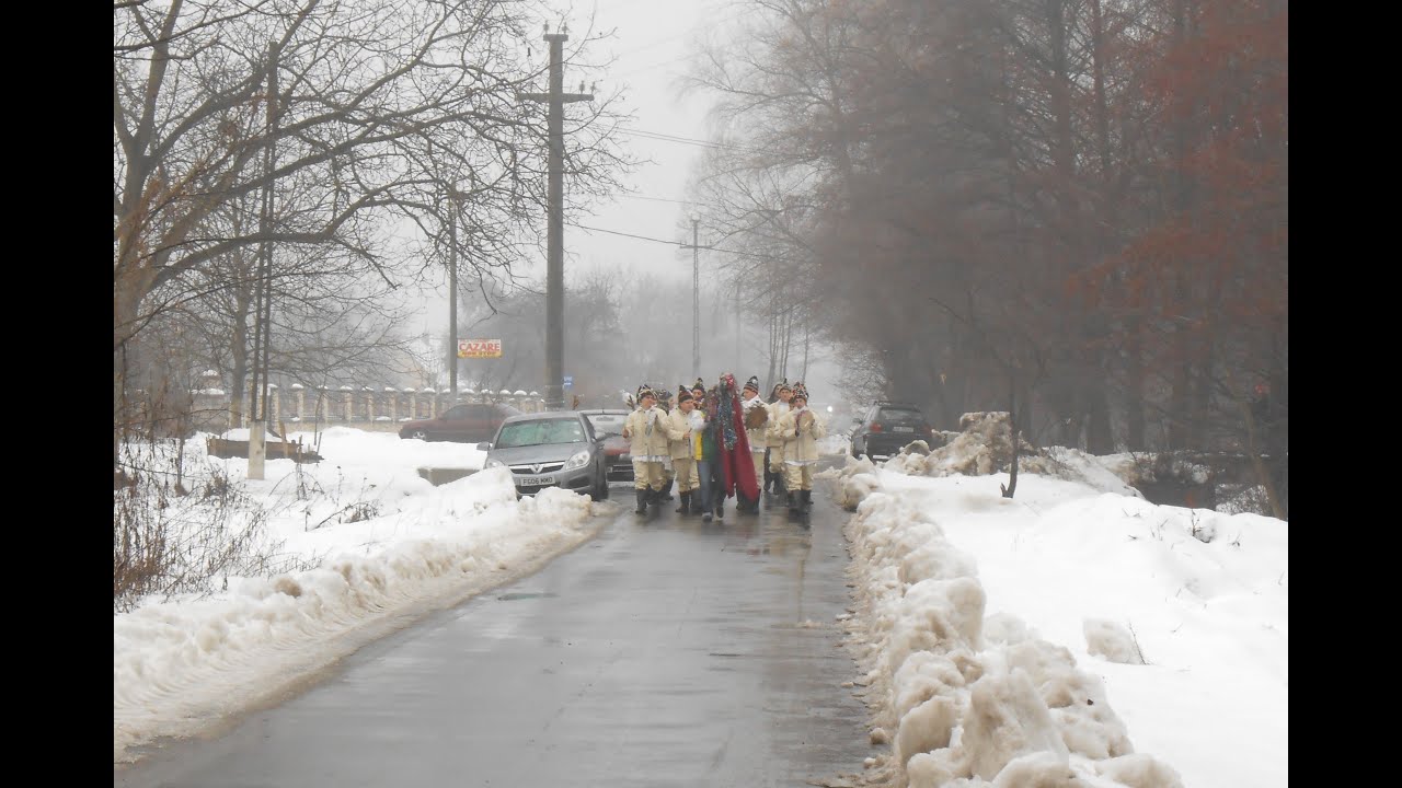 Dubașii din Săvârșin colaj partea I
