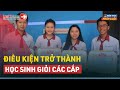 Điều Kiện Trở Thành Học Sinh Giỏi Các Cấp | LuatVietnam