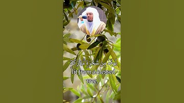 الله نور السموات والأرض (تلاوة رائعة)