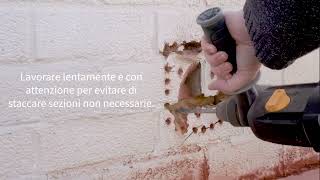 Gattaiola con microchip  Installazione a muro