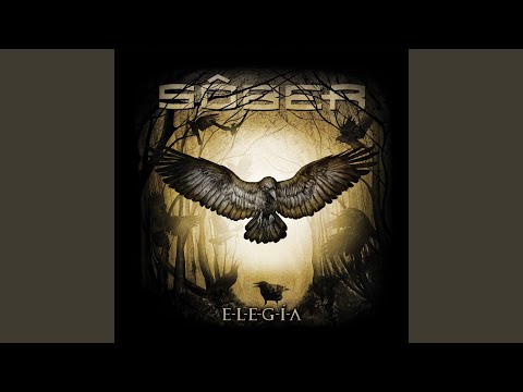 Sôber — El día de la liberación
