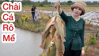 Chài Cá Rô Mề, Hôm Nay Bội Thu Dính Toàn Cá Khủng | Ly Ngô Vlog