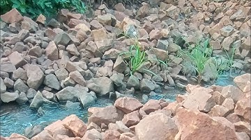 My Vlogging Journey Starts Here || My First vlog  #myfirstvlog #vlogstart #trending