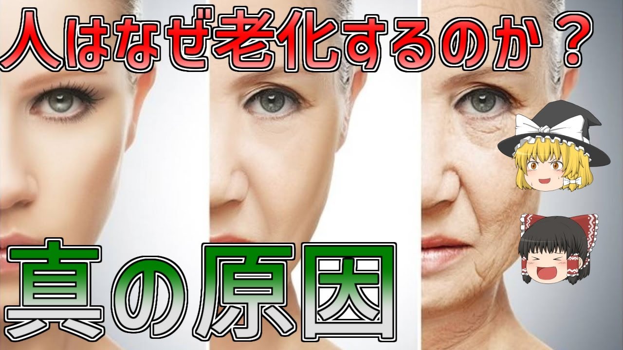 老化の原因 ランキング : 高齢者の身体的特徴 – MXXS