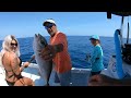 We had an epic day offshore fishing with on the hook charters out of ponce inlet florida