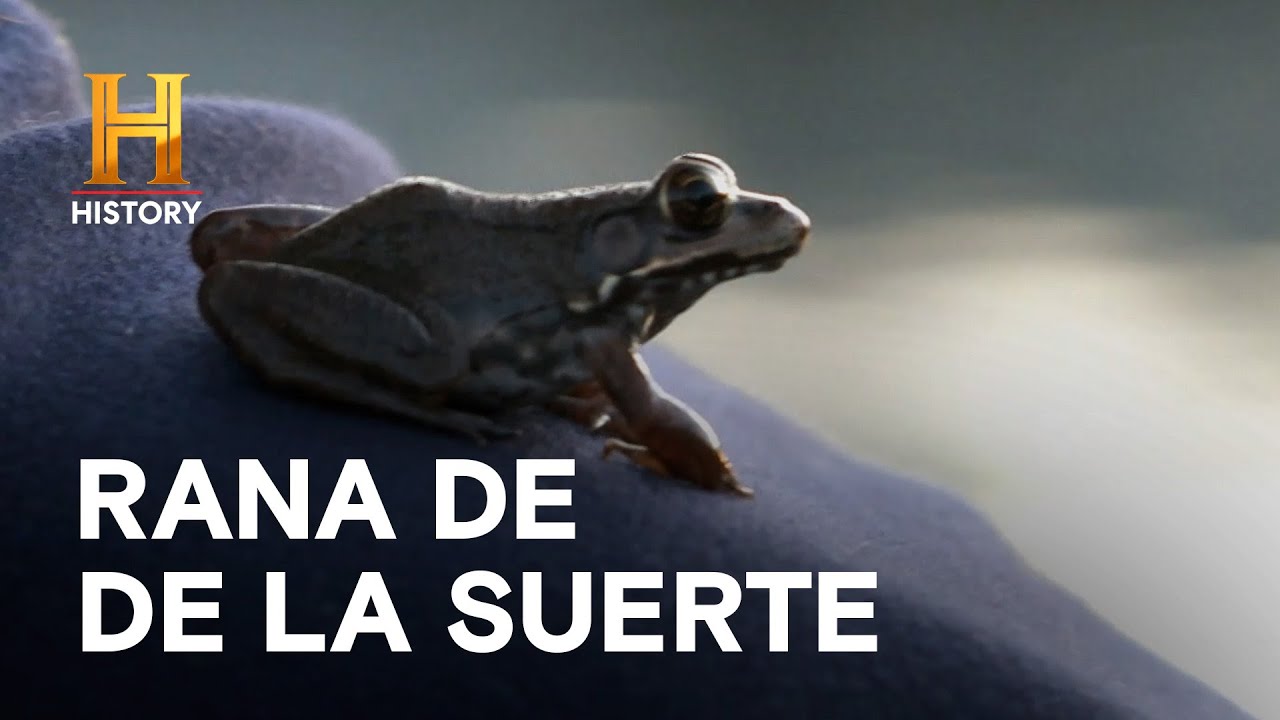 Jóvenes a la caza, UN VIERNES 13 AMOS DEL PANTANO YouTube