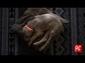 Life With Koda (Episode 1) - Getting a weimaraner puppy の動画、YouTube動画。