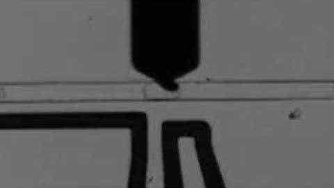 Pico injection FH Lab