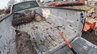 Unloading Firewood Rounds With A Stihl Pickaroon.
