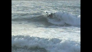 The Experiment Part 7 | Surf, Friends & Empty Waves in Portugal