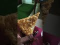 what i eat in a day #whatieatinaday #youtubeshorts #shorts