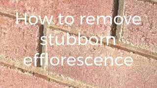 How to remove Efflorescence from bricks