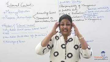 Auditing - Auditing techniques & Internal audit introduction - Internal control system