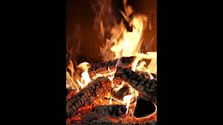 Şömine Ateşi Ve İki Keklik