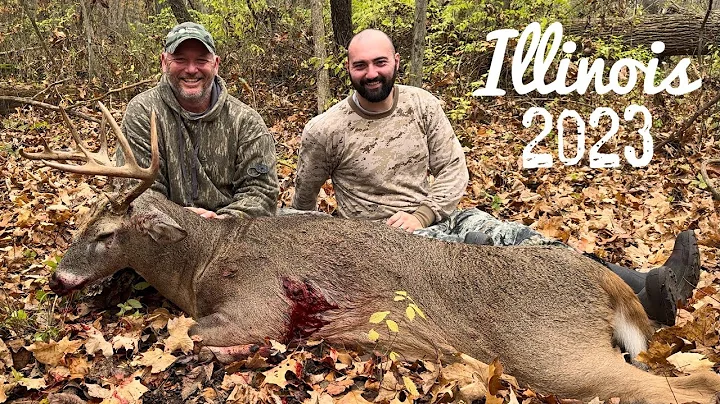 Huge 275 Pound 12 Point Buck Illinois Public Land Whitetail Bowhunting 2023