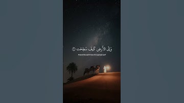 افلا ينظرون إلى الإبل كيف خلقت سورة الغاشيه عبد الرحمن مسعد #قران_كريم_بصوت_جميل_جدا