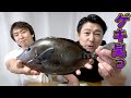 磯臭すぎるお魚！！どうしてもかねこが食べたいって言うもんで！！