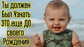 Эти Секреты мозга лучше знать с самого рождения! Системный язык мозга + язык программирования мозга!