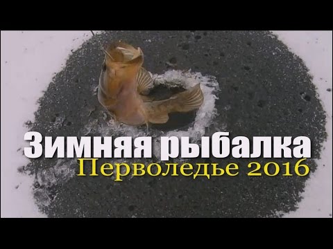 нижний новгород рыбалка ротан