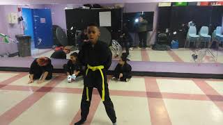 Pouncing Tiger Kata demonstration