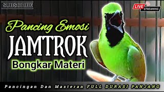 Download Lagu CUCAK IJO GACOR JAMTROK FULL ISIAN || PANCINGAN CUCAK IJO CEPAT TARUNG BIKIN EMOSI MP3 Download Lagu CUCAK IJO GACOR JAMTROK FULL ISIAN || PANCINGAN CUCAK IJO CEPAT TARUNG BIKIN EMOSI MP3