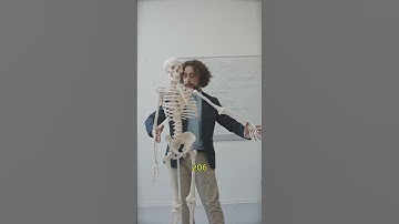 Only 1% Can Get All 5 Quiz Questions Right!