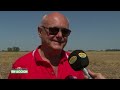 Nota a Nota Osvaldo Giorgi en "GIORGI a campo abierto" - Campo en Acción