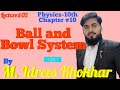 Ball and bowl system of shm