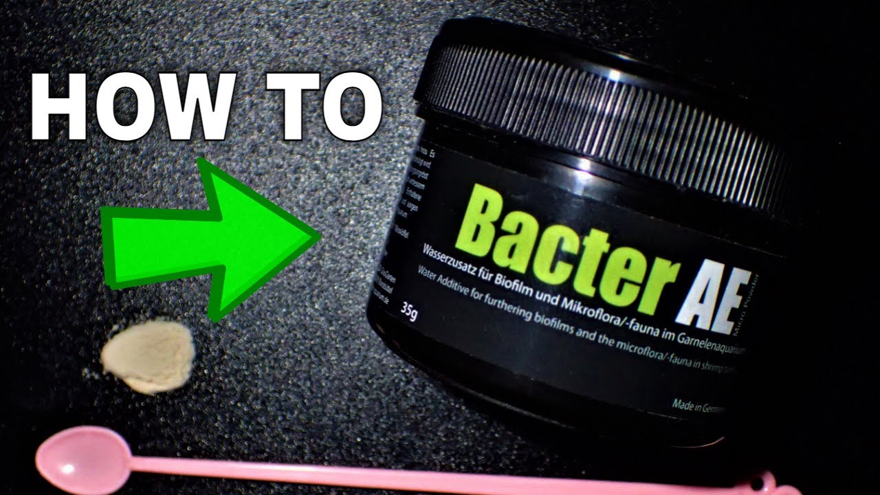 How To Use Bacter AE: FANTASTIC If Used Properly (Tutorial) 