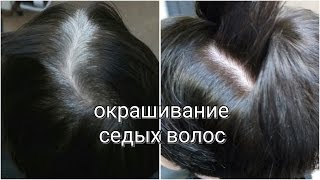 Окрашивание седых волос видео Окрашивание седых волос