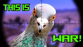 THIS IS WAR! | Pigeon Infestation | New Farm | FX Wildcat BT | Airgun Pest Control | Slugs | Hunt