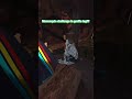 #gorillatag