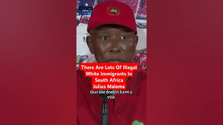 There Are Lots Of Illegal White Immigrants In South Africa | Julius Malema