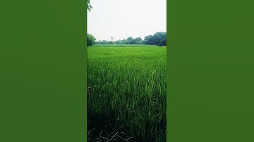 The Channel That Changed YouTube Forever#shorts