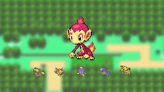 LIVE! Shiny Chimchar after 6998 SRs! || Platinum DTQ 1