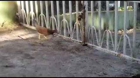 ￼  ￼  ￼  ￼  ￼  Insanity: doing the same thing over and over again and expecting different results.