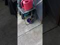 Chucky Reminding Me To Fill The Water Bowl Cat Short Chucky Reminding Me To Fill The Water Bowl Cat Short