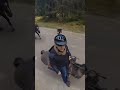 horseback riding Alaska